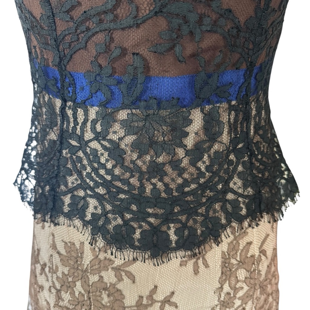 Carolina Herrera Lace Strapless Silk Dress Formal Evening Elegant sz 2 - Picture 4 of 14